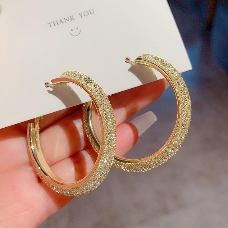 Exaggerated Mesh Crystal Zircon Geometric Big Earrings S Silver Needle Circle Earrings Earrings 925 silver needle