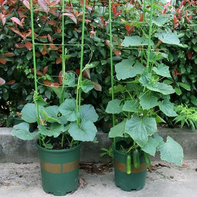 1/3/9 st Hållbar Kreativ Klätterväxtställ 45 cm Plastbelagt Järn Växtstöd Ram Trädgård Balkong Växt Blomma Spaljé
