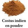Indický kostus prášek 40 g