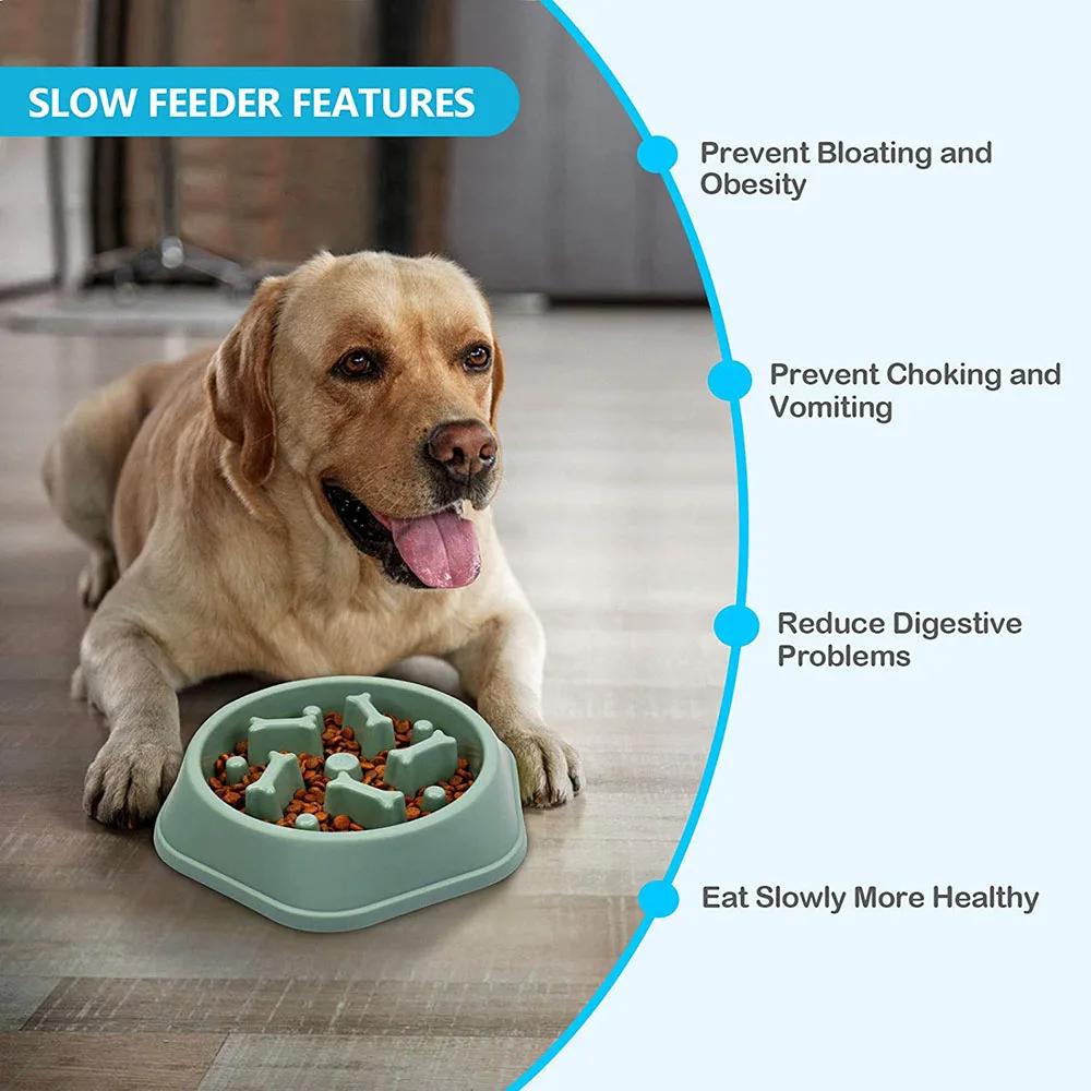 Slow Feeder Dog Bowl Slow Eating Bowl Slow Feeding Non-Slip Puzzle Bowl designed for Small Puppy and Large Dogs Pet Feeder Anti-Choking