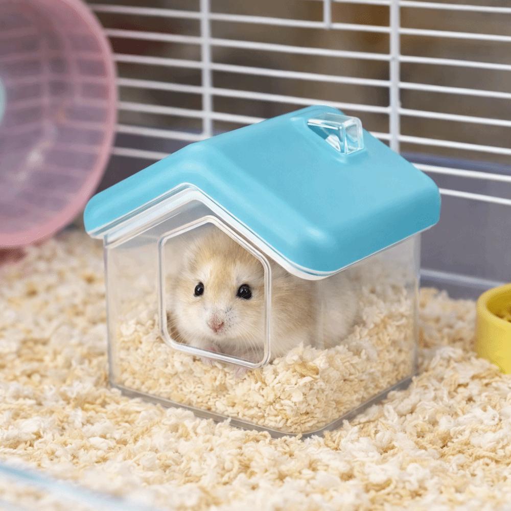 Anti-Spill Hamster Sand Bath Transparent Golden Bear Bathroom Hamster Toilet  Pet Habitat