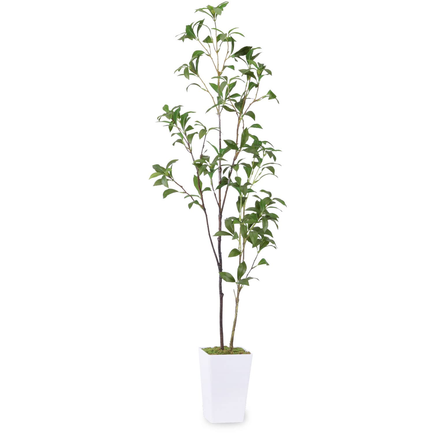 

Искусственное зеленое растение для дома высотой 110 см, комнатное растение, искусственный цветок, фотокаталитический очиститель воздуха, комнатное офисное горшечное растение [Азалия, Асеби] зелёный