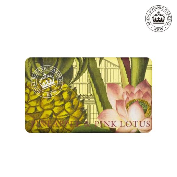 

Pineapple & Pink Lotus Diffuser Soap 240g (1 unit) Paraben-Free