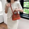 Trend niche bag women's 2025 new summer fashion foreign shoulder bag messenger bag popular portable shell bag