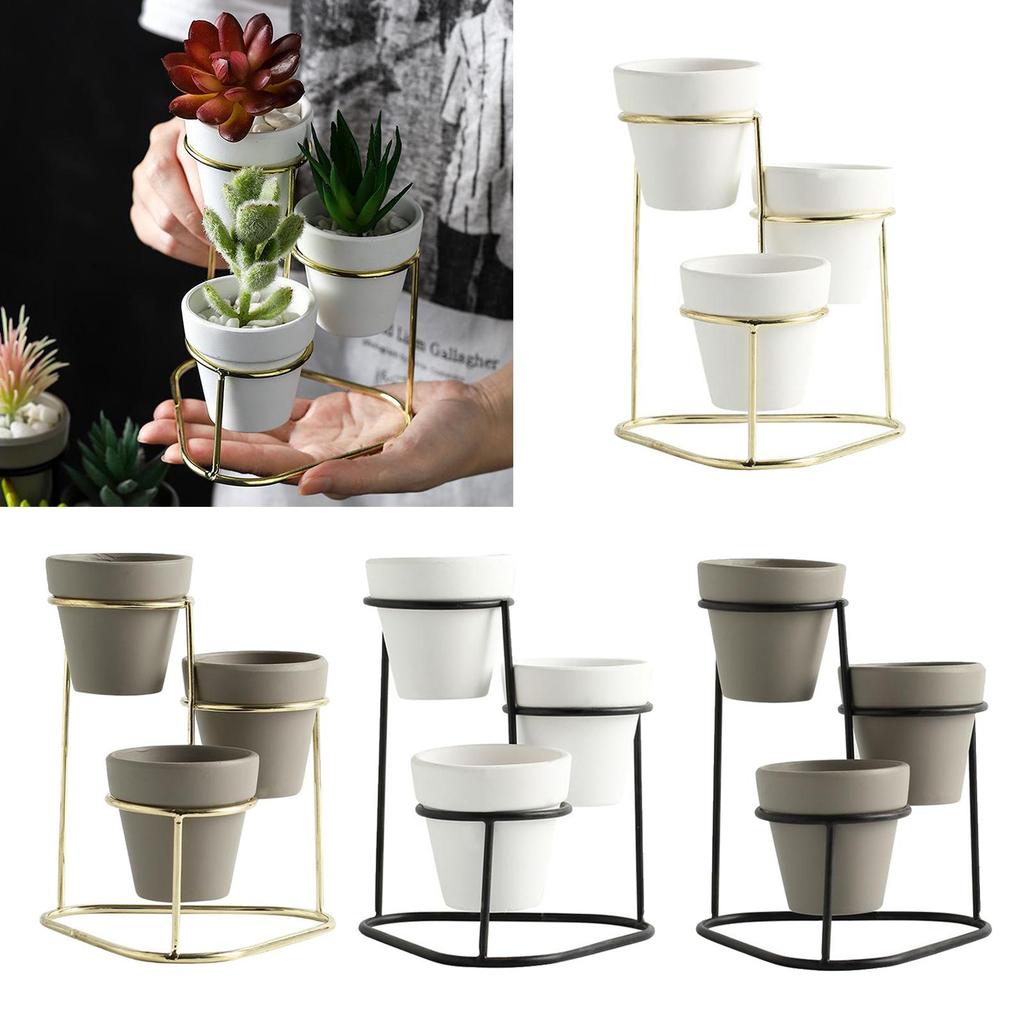 3Pcs Flower Pot Holder Succulent Plant Pots Stand Set Home Desktop Decor succulents Flower Pots Metal Stand Holder