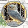 2D flat wooden tag, home wall decoration, housewarming gift for friends, white owl pattern