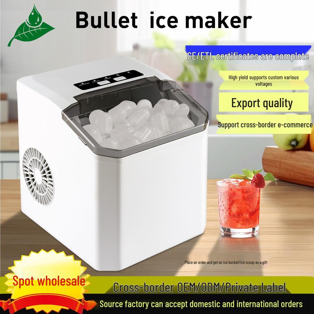 Compact Household Ice Maker for International Use