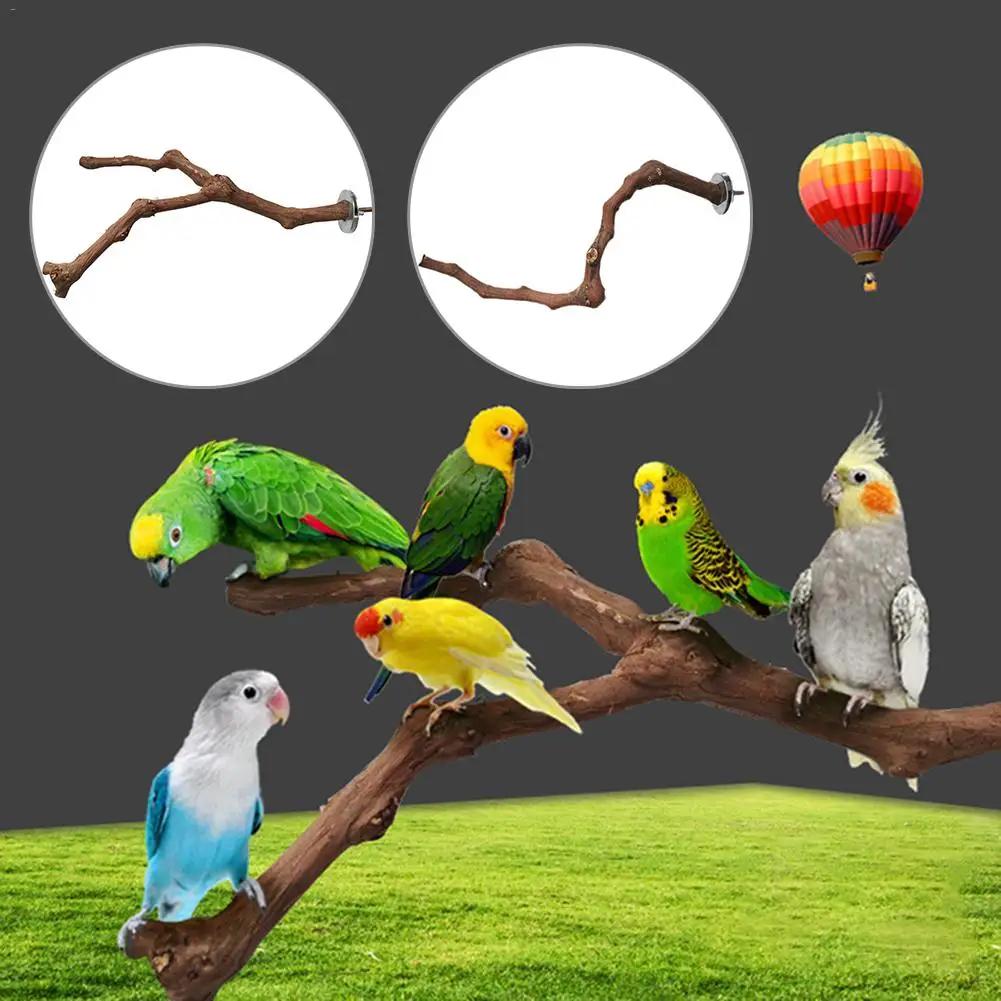 Haustier Papagei Vogel Sitzstange Wilde Weinrebe Holzstange Vogel Wellensittich Nymphensittich Sitzstangen Beiß Klaue Schleifspielzeug Vogelkäfig Zubehör