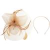 SHOWERORO Filet en Maille Rose Doré Pince à Cheveux Cosplay Épingle à Cheveux pour Fête Heurtoir pour Occasion Spéciale Accessoire Fascinator pour Tea Party