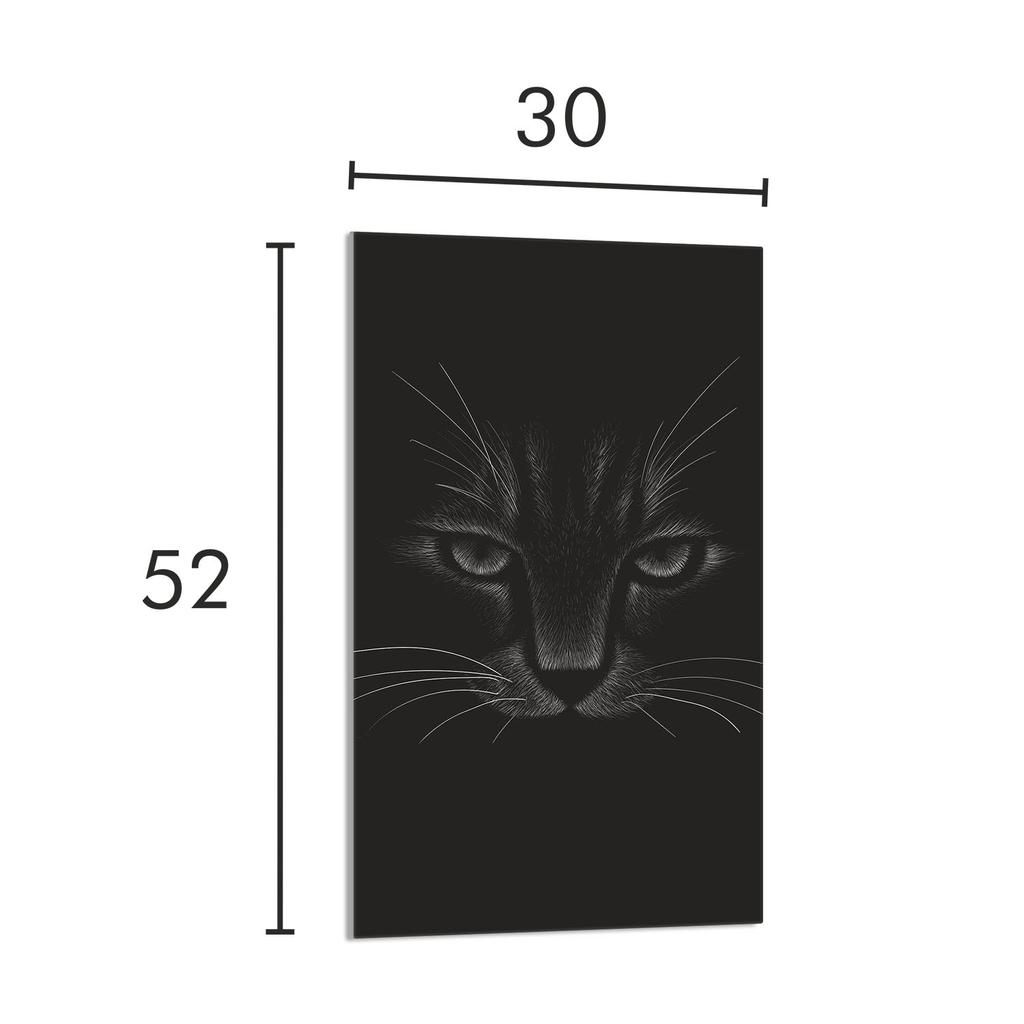 GLAZEN SNIJPLANK 30x52 Kat