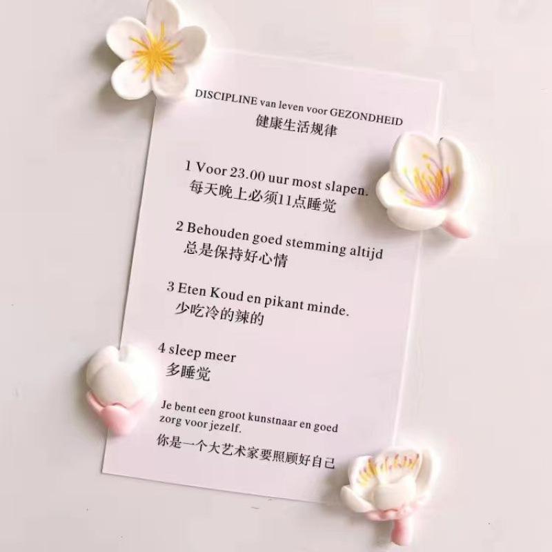 

4 шт. Розовые цветы смола декоративные магниты на холодильник магниты креативные магниты на доску мультяшные магнитные наклейки белый