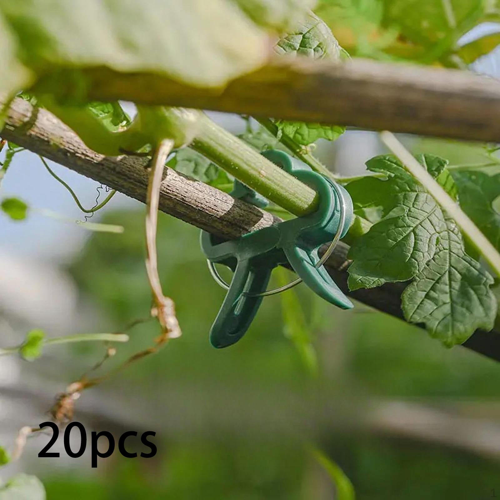 

20 шт. зажимов для садовых растений, зажимы для вьющихся растений, инструменты для выращивания в помещении и на открытом воздухе