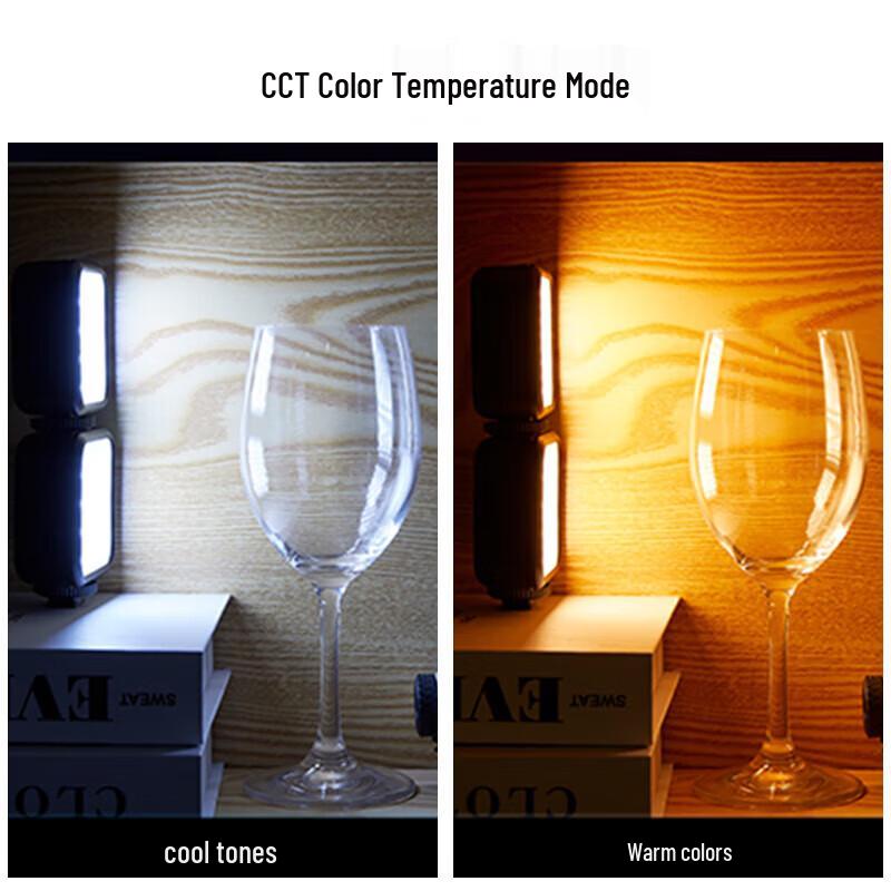 Godox Portable LED Video Light