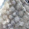1 Yards 3D Lace Rose Flower Embroidery Hot Stamping Tull Lace Fabric For Diy Sewing Apparel Wedding Dress Performance Costume