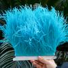 1M Natural Ostrich Feathers Trim White Clothing Sewing Ribbon 8-10cm Feather Fringe for Wedding Party Decoration Crafts Plumes