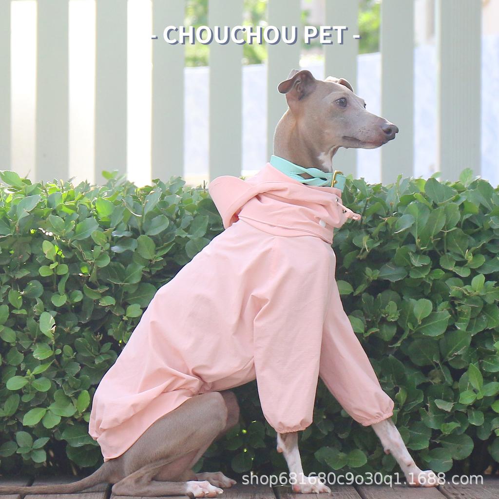 Kleiner Greyhound Whippet Sommer Freizeitstil Elastisch Schnelltrocknend Mit Kapuze Zweiteiliger Anzug Abnehmbare Mütze Wasserdichter Regenmantel Auf Lager