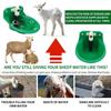 Sheep Goat Automatic Drinking Bowl Trough Goat Water Tank Sheep Drinker Sheep Feeder Professional Farm Supplies Farm Drinker