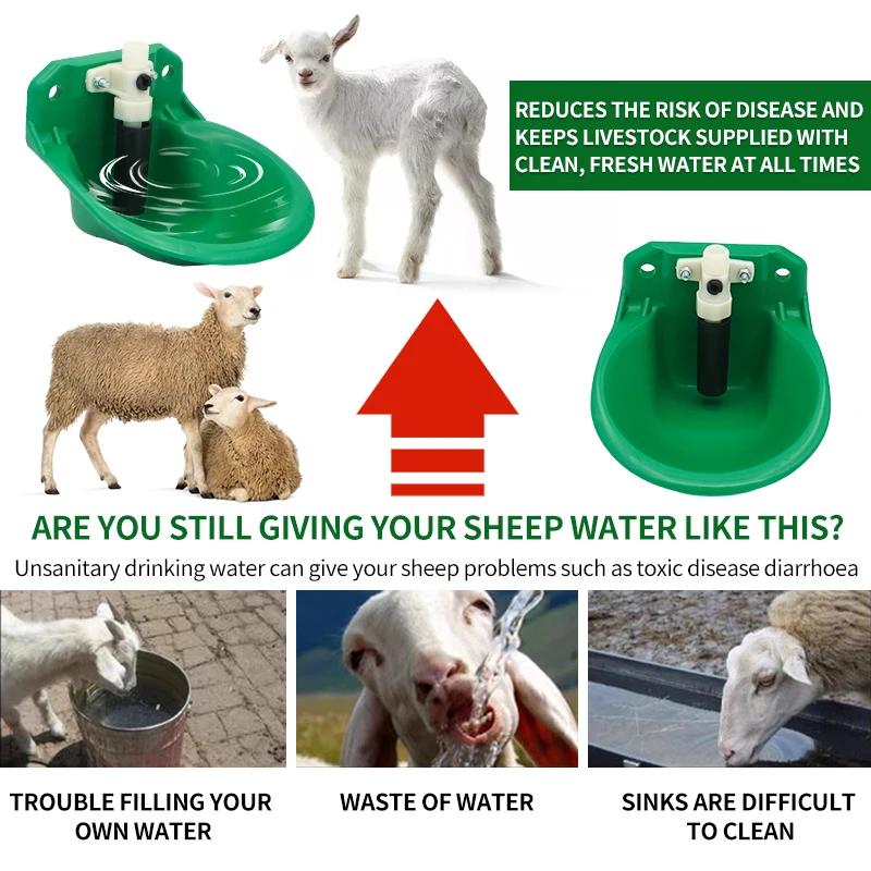 Sheep Goat Automatic Drinking Bowl Trough Goat Water Tank Sheep Drinker Sheep Feeder Professional Farm Supplies Farm Drinker
