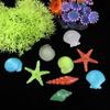 10Pcs Home Decor Mix Luminous Stone Sea Shells Aquarium Beach Conch Fish Tank Decor