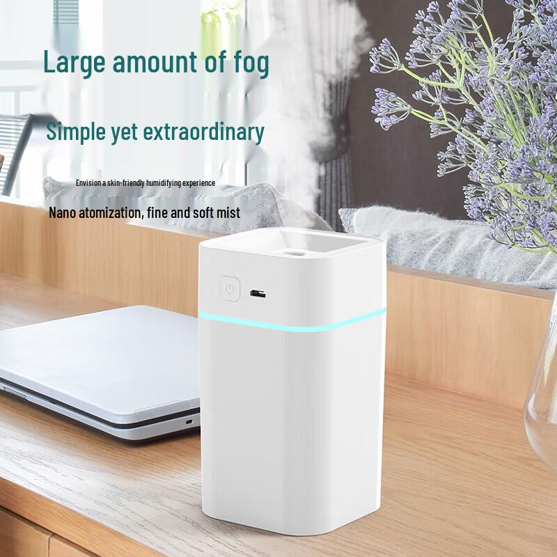 GEERSINUO Night Light Humidifier
