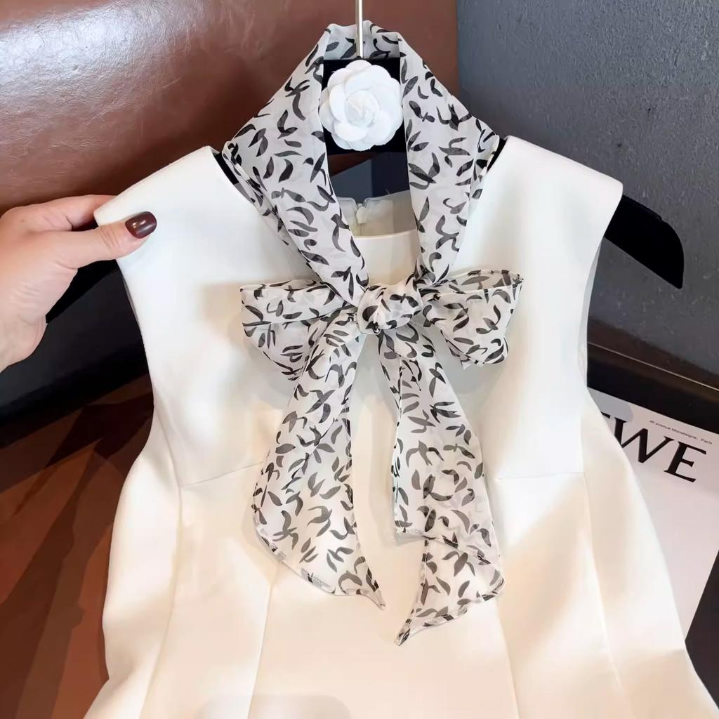 Ins Temperament Silk Georgette Silk Scarf Women's Summer Thin Neck Silk Scarf High-end Silk Streamer
