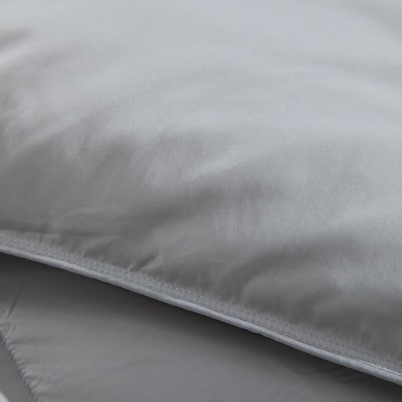 Muji Premium Down Comforter