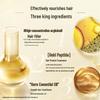 L'Oreal Elseve Extraordinary Oil Smooth Shampoo