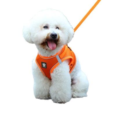 Cani – Collari e guinzagli per cani