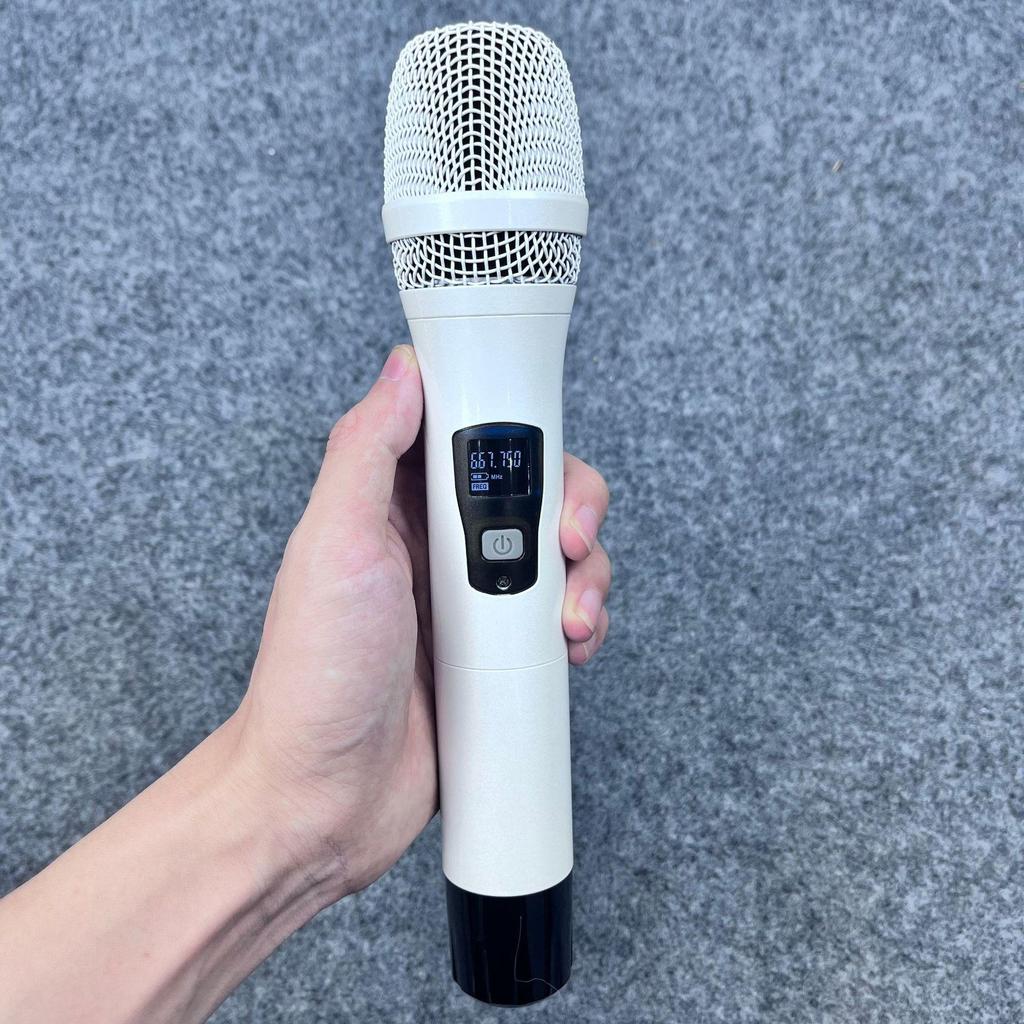 Premium U-Band Infrared Wireless Dual Microphone System with Lavalier & Headset for Stage and Conference Use