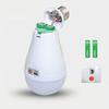 Flicker-Free Led Bulb Light Portable 20W 30W Emergency Bulb Courtyard Outdoor Bulb Power Failure Emergency