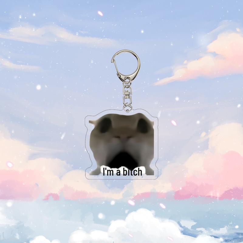 Křivá tlama Koťátko Kreslený Přívěsek na klíče: Vtipný akrylový přívěsek na školní tašku a dárek k narozeninám