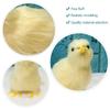 Realistic Chick Decoration Cute Easter Chick Figurine Simulation Chick Easter DIY Miniature Chicken Garden Ornament Home Decor