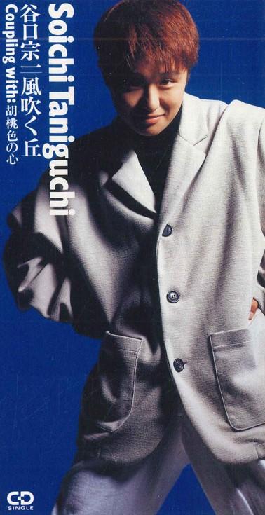 

CD SOICHI TANIGUCHI - Windy Hill PSDR3025PROMO POLYSTAR Japan Japanese Pop/Rock Used