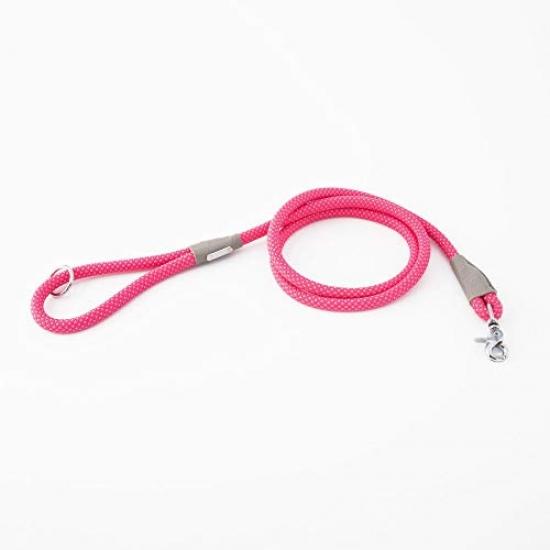 mod bungee dog leash