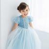 Monoii Princess Dress, Snow Queen Costume for Kids, Halloween, Christmas, Birthday, Girls, E0300 (Short Sleeves, 120cm)