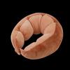 NuFeng Plush Travel U-Shaped Neck Pillow