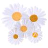 5Pc Sun Flower Daisy Sew On/Iron On Embroidered Patch Diy Craft Clothes Applique