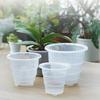 Orquídea de Resina Vaso de Flor Transparente Plástico Planta Jardim Respirável Ranhurado-1 Pacote