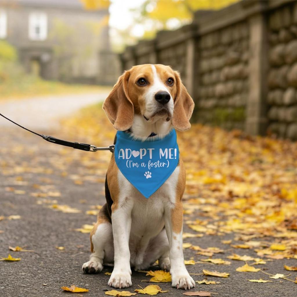 Adopt Me I'm a Foster Dog Bandana, Adopted Puppy Bandana Baby Dog Announcement Tie on Scarf, Blue Dogs Bandanas, Pet Scarf Accessories for Small