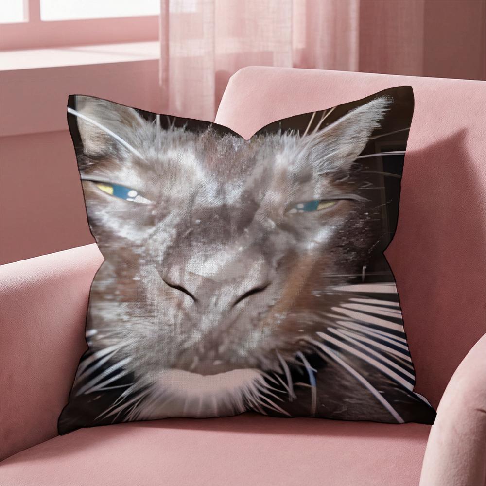 memes1 Cushion Cover Multi-Scene Pillow Cover for Home & Car - Reversible, Soft & Durable for Daily Use