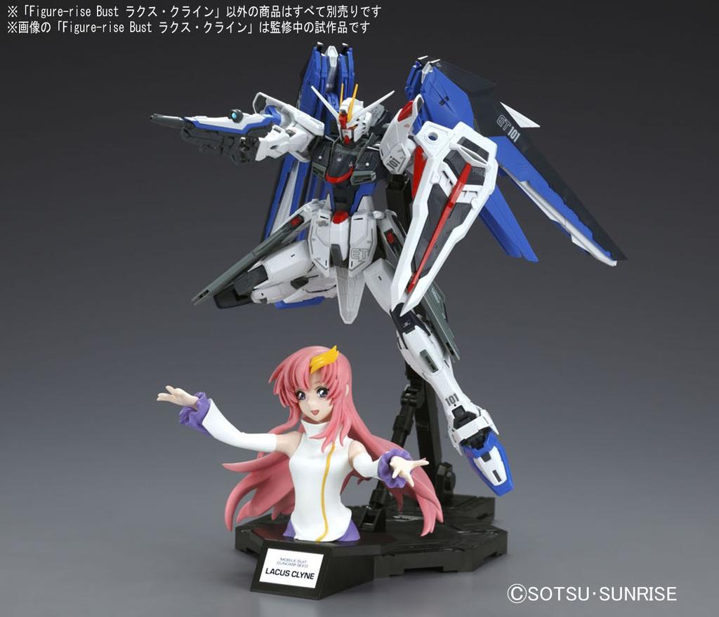 Poprsí Mobile Suit Gundam SEED Lacus Clyne plastový model Figure-rise barevně odlišený