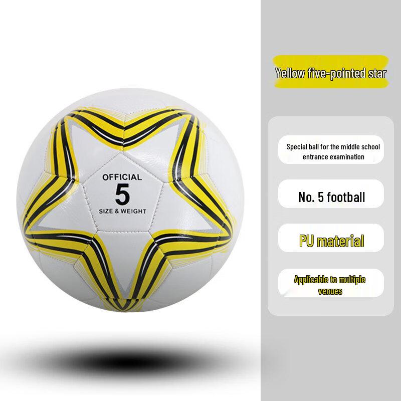 Professional Machine-Stitched Training Soccer Ball