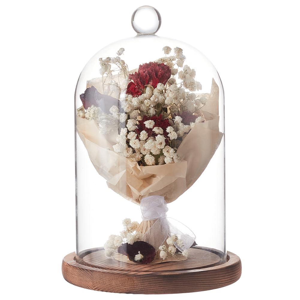 BENECREAT 18x14cm Transparent Glass Dome with Wooden Base, Glass Dome Cover, Eternal Flower Display Case, Dome Micro Landscape Showcase, Landscape Vas