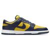 Nike Dunk Low 'Michigan' 2021 DD1391-700
