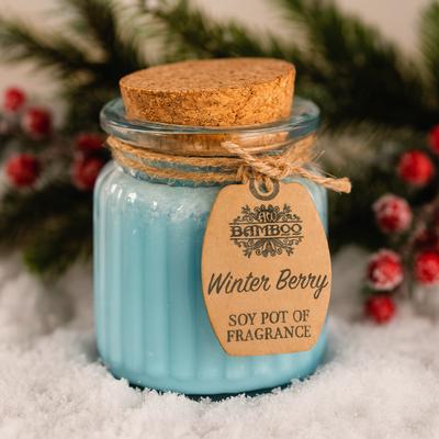 Scented Soy Jar Candles Winter Berry, 2 Pack