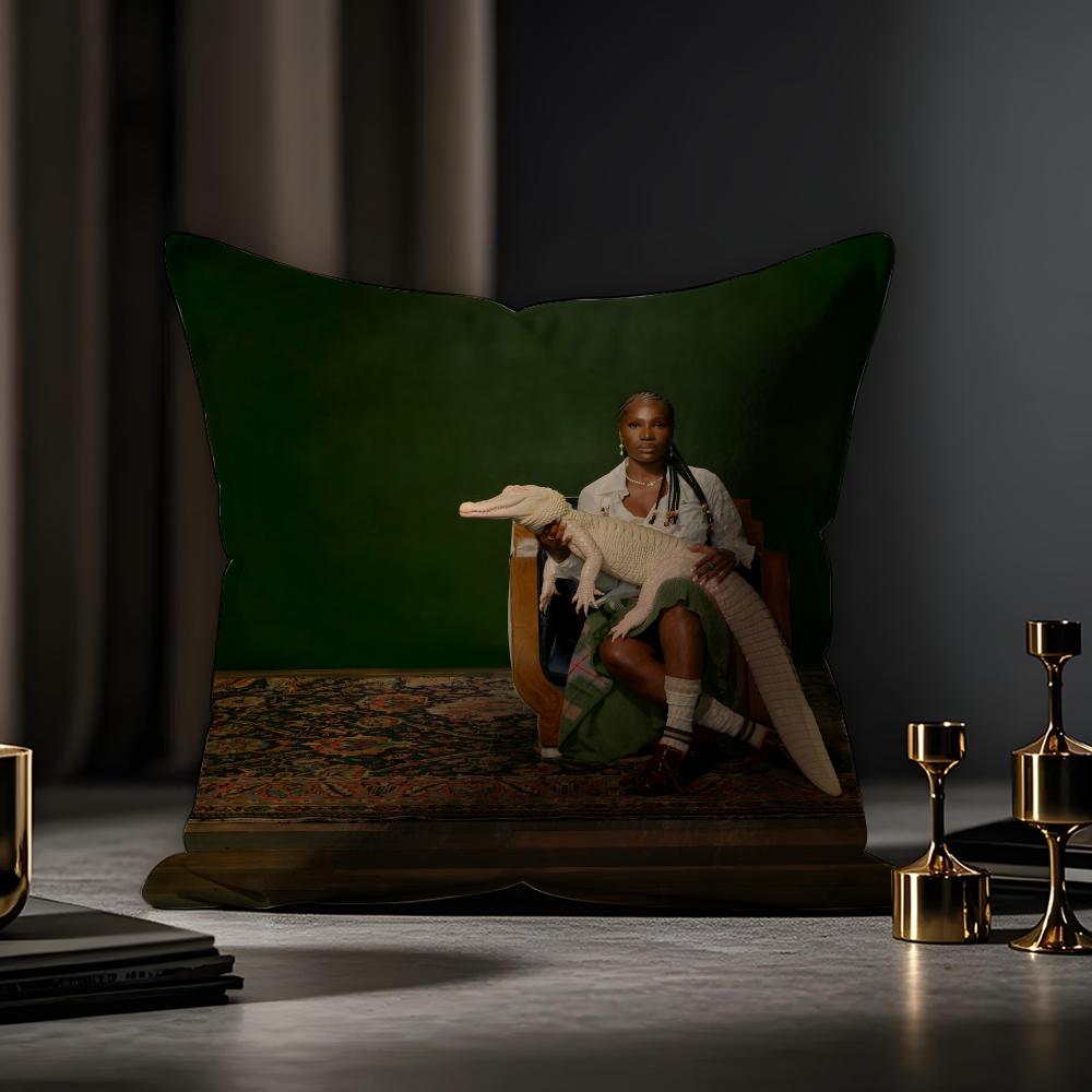 Doechii Album Cushion Cover Anti-dustmite Pillowcase Invisible Zipper Silky Short Plush Sofa Cushion Cover