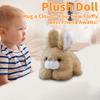 Novelty Plush Toy Gift Doll (unmarked)