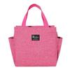 Popular Dual-Pocket Insulated Lunch Bag with Aluminum Foil: Handheld Bento and Picnic Bag with Ice Pack.