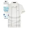 Qipilong Men's Summer Business Casual Vertical Stripe Polo T-Shirt