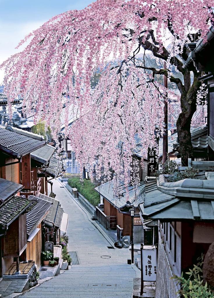 Jigsaw Puzzle Aim To Be a Puzzle Sanneizaka Kyoto 500-piece - Master! Sakura-scented - (38x53cm)